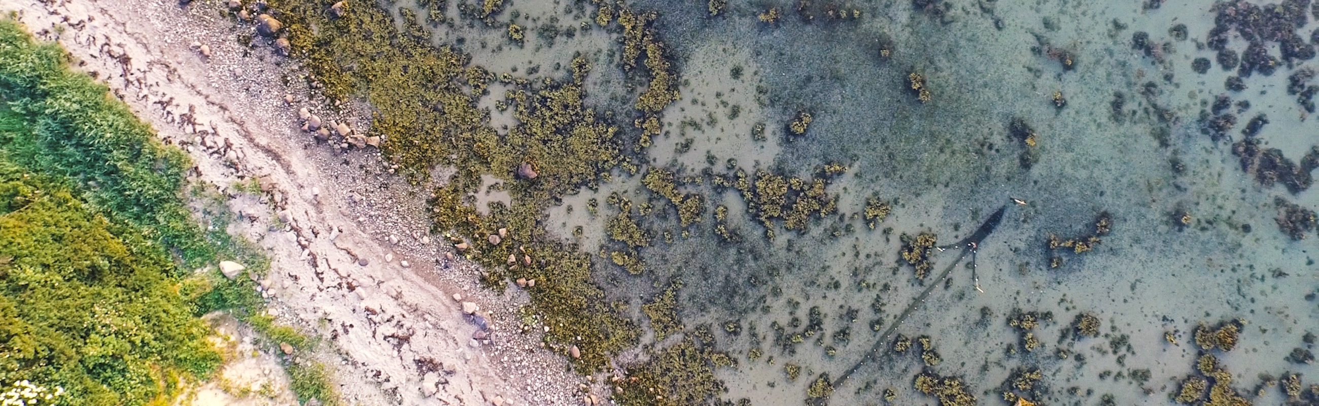 Luftfoto lavt vand B20Q0501.00_00_21_22.Still002_Moving_Nature_Andreas_Mørck.jpg